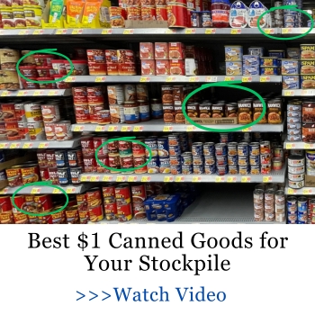 Best $1 Canned Goods for Your Stockpile