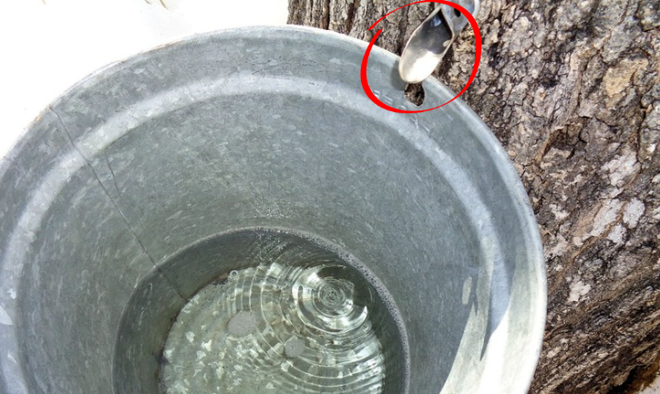 \how to Purify Water