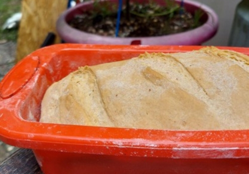 Bread Dough (5 Long-Lasting Recipes)