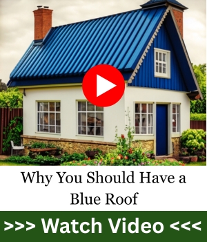 Why You Should Have a Blue Roof
