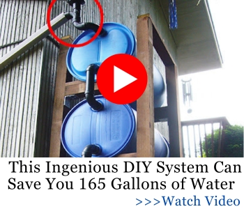 This Ingenious DIY System Can Save You 165 Gallons of Water
