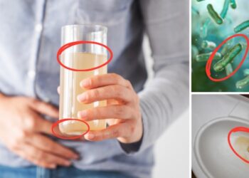 Why You Should Never Drink Tap Water Again (3)