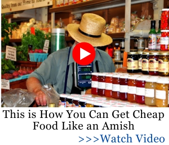 banner_This is How to Get Cheap Food Like an Amish_AWA