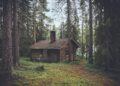 best wood facades