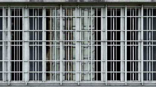 reinforced windows