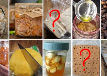 35 Foods That Can Last a Century