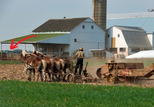 Amish Farm