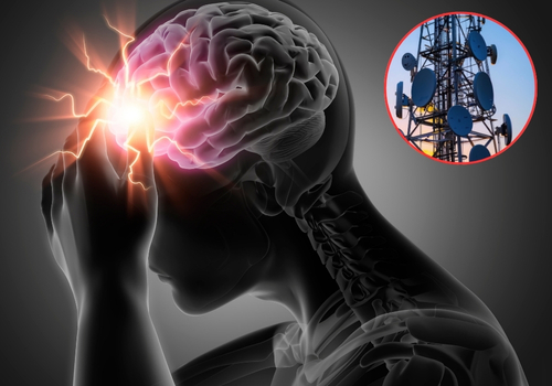 EMF Proof Your Home