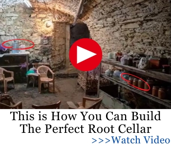 Easy Cellar banner