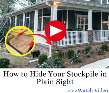 How to Hide Your Stockpile in Plain Sight BIG banner