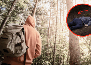 I Lived in The Woods for 15 Days and This is What Almost Killed Me