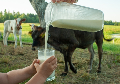 Raw Milk