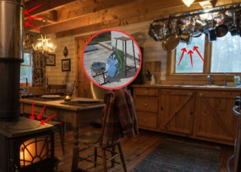 SHTF-Proof Food Secrets You Should Know Before It’s Too Late