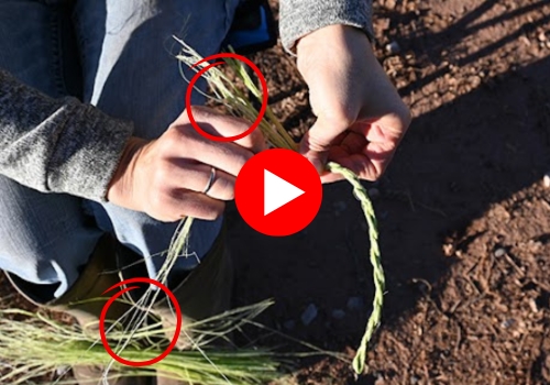 cordage