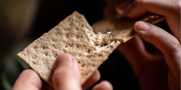 Hardtack: The Survival Bread That Refuses to Die