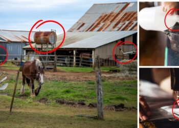 10 Rare Life-Skills That Will Make You Rich Post-SHTF