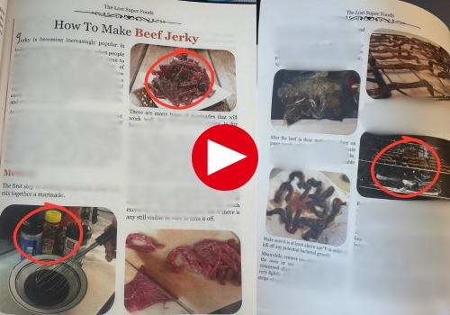 Beef Jerky LSF