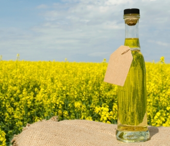 Canola Oil