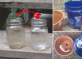 DIY Gravity-Powered Clay Pot Water Filter that Costs Under $30 (With Pictures)
