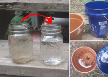 DIY Gravity-Powered Clay Pot Water Filter that Costs Under $30 (With Pictures)