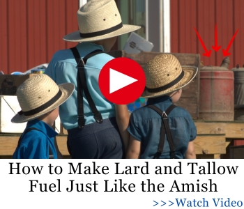 How to Make Lard and Tallow Fuel Just Like the Amish AWB 