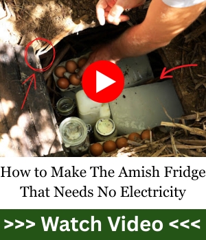 How to Make The Amish Fridge That Needs No Electricity