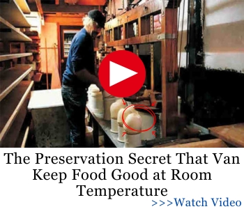 LSF The Cheese Preservation Secret That can Keep It Good at Room Temperature