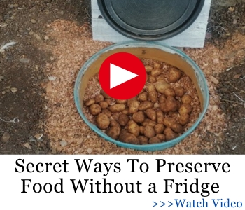 Secret Ways To Preserve Food Without a Fridge BIG
