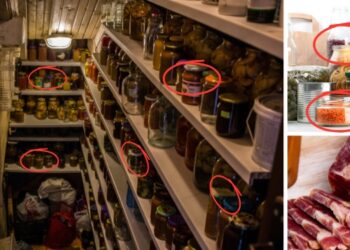 Stop Ignoring These Long-Lasting Protein Sources