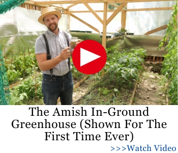 The Amish In-Ground Greenhouse (Shown For The First Time Ever) AWA