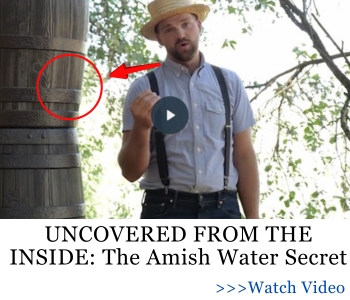 UNCOVERED FROM THE INSIDE The Amish Water Secret AWB