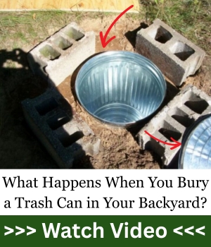 What Happens When You Bury a Trash Can in Your Backyard AWA