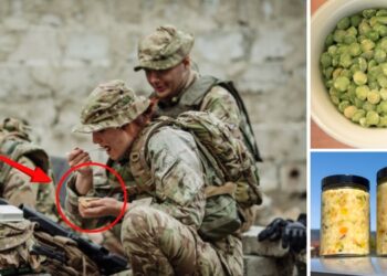 How to Make Soldier’s Pea Soup (Shelf-Stable for Years)