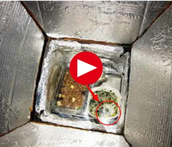 Solar Oven AWB Edit