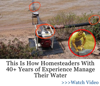 This Is How Homesteaders With 40+ Years of Experience Manage Their Water SSB