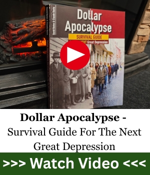 Dollar Apocalypse Survival Guide