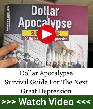 Dollar Apocalypse Survival Guide