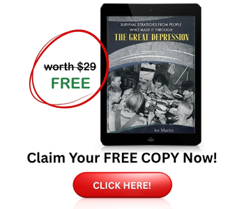 Great Depression book banner