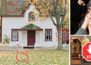 House protected from looters with hidden pantry and prepper supplies