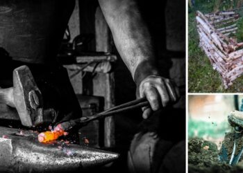 The Lost Skills You Need to Survive an Economic Collapse