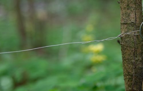 trip wire