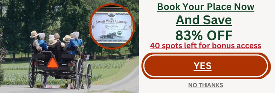 Amish way academy course banner