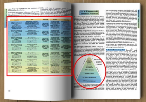 Herbal Protocols pramid and table