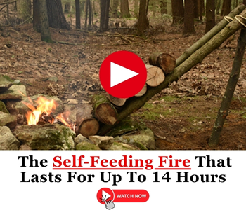 The Self-Feeding Fire That Lasts For Up To 14 Hours WSG