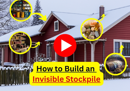 How To Make Your Stockpile Invisible to Looters 2 inside 