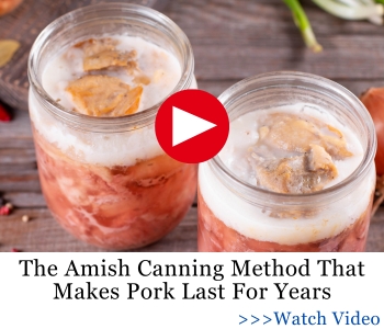 Jars with jelly meat, the recipe in the Amish Ways book