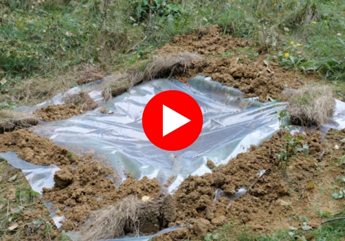 WSA Banner Invisible