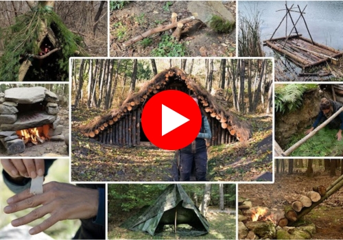 Wildernes Survival Academy Banner