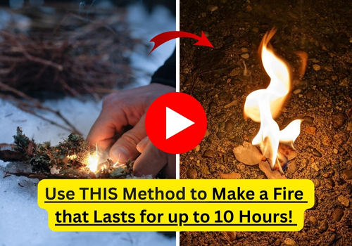 Fire for Fugitives Banner