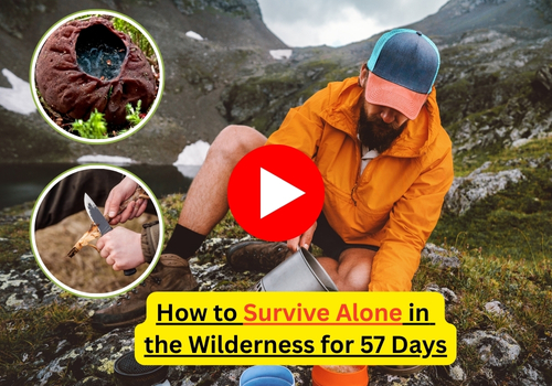 Wilderness Academy banner